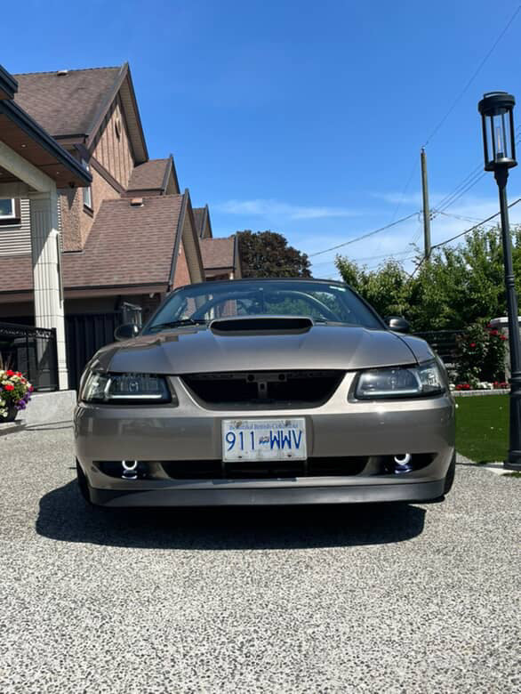 99-04 Mustang GT Halo Fog Lights