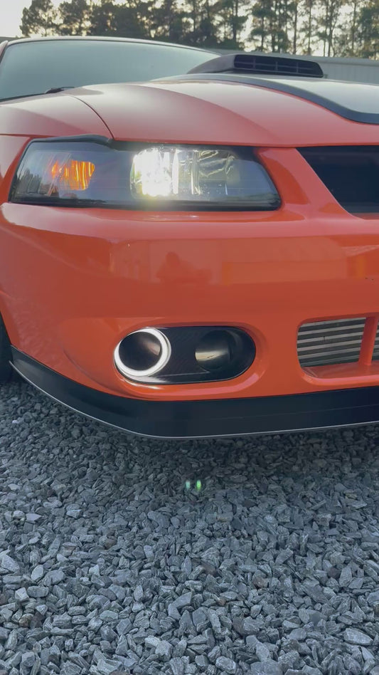 Halos and HydroDipped Terminator Bezels